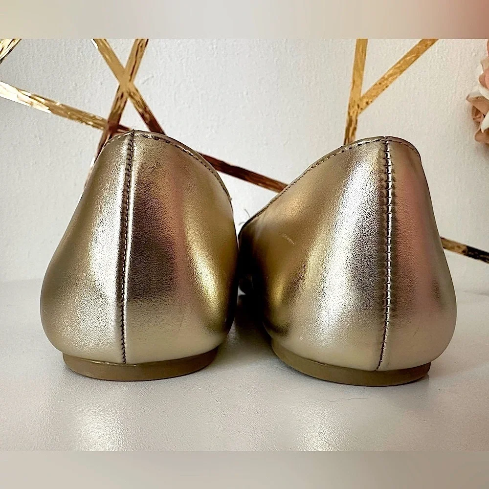 Girls Glitter Metallic Ballet (SH91)
